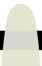 Load image into Gallery viewer, FL Iridescent PearlACRYLIC PAINTGolden Fluid