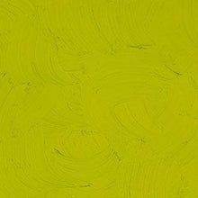 Load image into Gallery viewer, Gamblin Cadmium GreenOIL PAINTGamblin