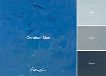 Load image into Gallery viewer, Gamblin Cerulean BlueOIL PAINTGamblin