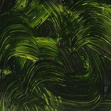 Load image into Gallery viewer, Gamblin Sap GreenOIL PAINTGamblin