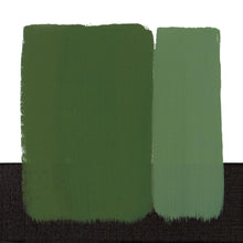 Load image into Gallery viewer, Classico Chrome Green OxideOIL PAINTMaimeri Classico
