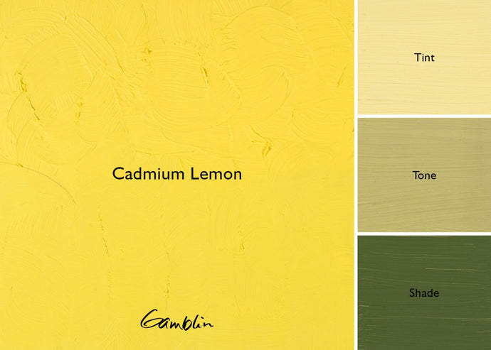 Gamblin Cadmium LemonOIL PAINTGamblin