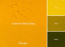 Load image into Gallery viewer, Gamblin Cadmium Yellow DeepOIL PAINTGamblin
