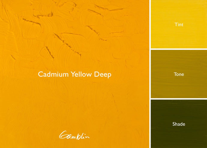Gamblin Cadmium Yellow DeepOIL PAINTGamblin