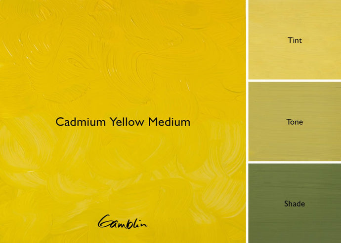 Gamblin Cadmium Yellow MediumOIL PAINTGamblin